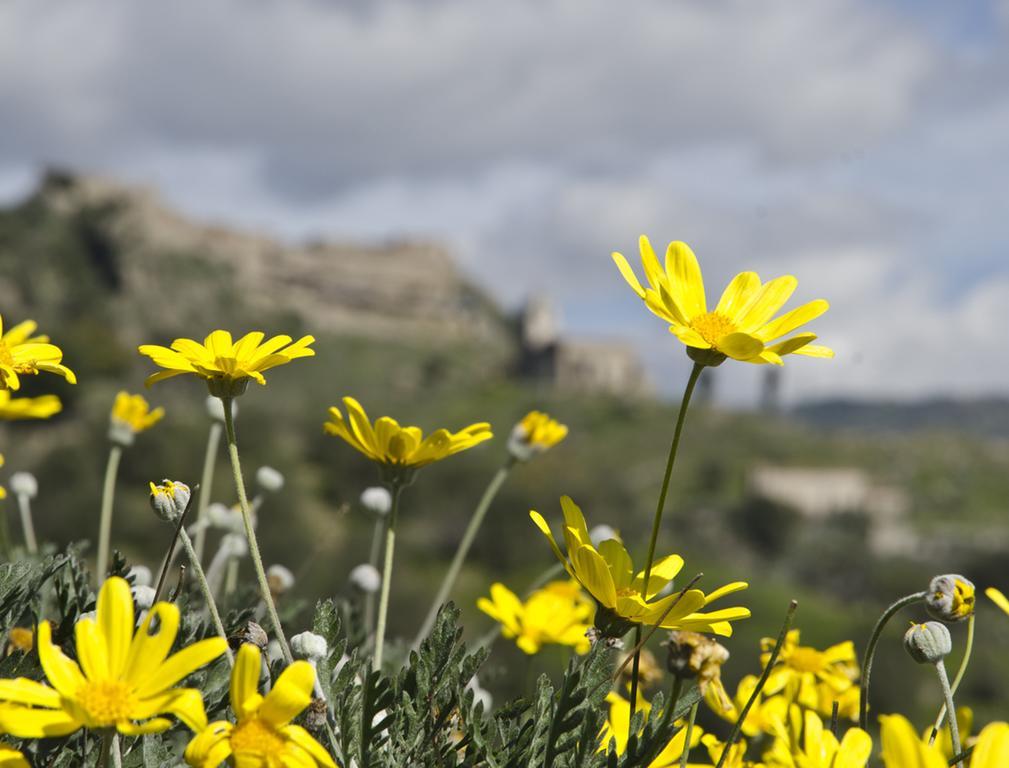 Casa Cicirello * Giardini Naxos